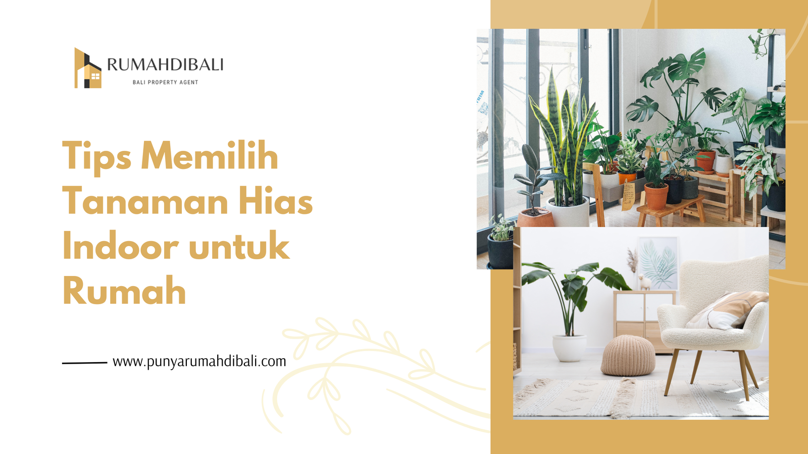 Tips Memilih Tanaman Hias Indoor untuk Rumah