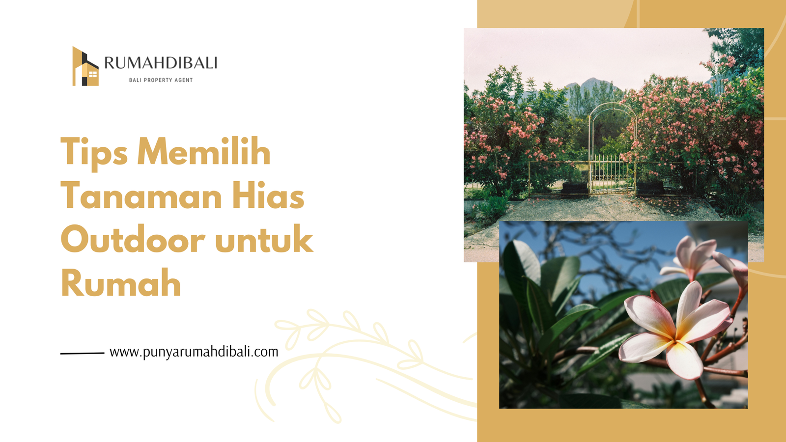 Tips Memilih Tanaman Hias Outdoor untuk Rumah