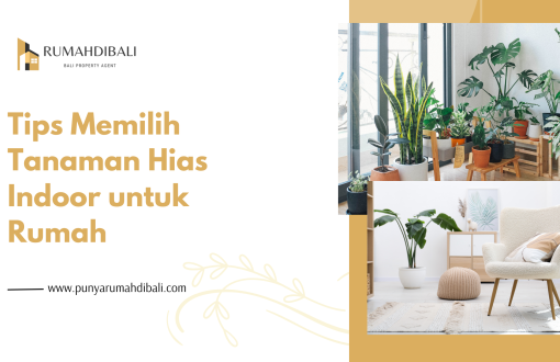 Tips Memilih Tanaman Hias Indoor untuk Rumah