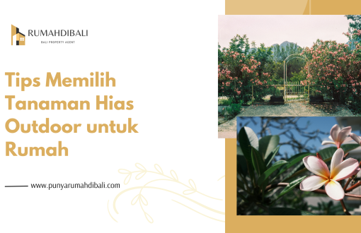Tips Memilih Tanaman Hias Outdoor untuk Rumah
